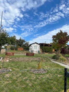 Foto - Garten im Kleingärtnerverein am Heideweg