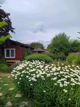 Foto - Handwerkerhaus in Märchenhafter Lage! Bungalow im Grünen