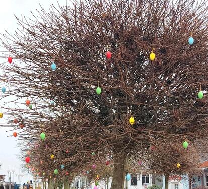 Foto - andere zur Miete in Boltenhagen