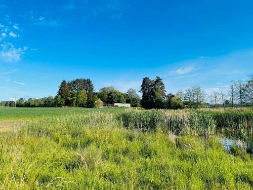 Foto - Haus mit Grundstück in mitten Natur, nähe Bodensee am Weiher