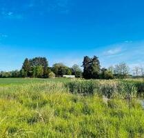 Haus mit Grundstück in mitten Natur, nähe Bodensee am Weiher - Immenstaad am Bodensee