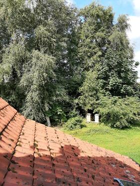 Foto - andere in Hesel