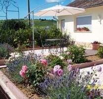 1,5 Zi Wohnung, BADDUWC, Einbauküche, Terrasse, ebenerdig - Eltville am Rhein