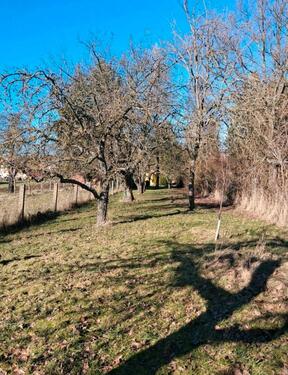 Foto - Pachtgarden - Obstwiese 99986 Oberdorla