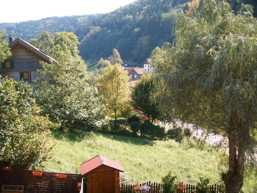 Foto - 5 Zimmer Dachgeschoßwohnung zur Miete in Hirschhorn (Neckar)