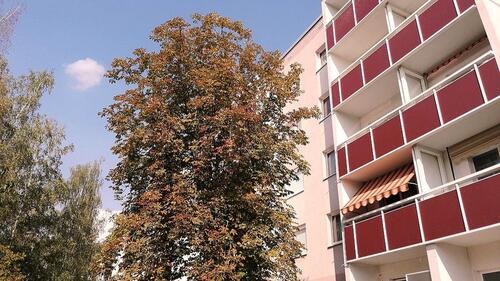 Foto - Neu saniert! - 356,00&nbsp;EUR Kaltmiete, ca.&nbsp; 57,76&nbsp;m&sup2;