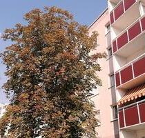 Neu saniert! - 356,00&nbsp;EUR Kaltmiete, ca.&nbsp; 57,76&nbsp;m&sup2; in Halle (Saale) (PLZ: 06132) Silberhöhe