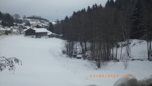 Foto - 