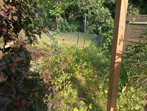 Foto - Grundst&uuml;ck in Adenbüttel