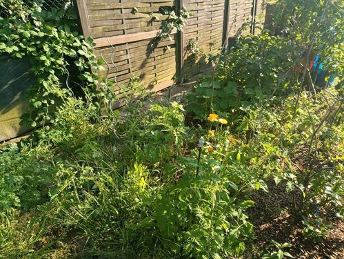 Foto - Grundst&uuml;ck in Adenbüttel zur Miete