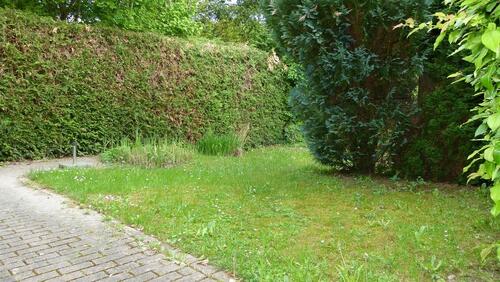 Foto - Einfamilienhaus in Bad Zwesten