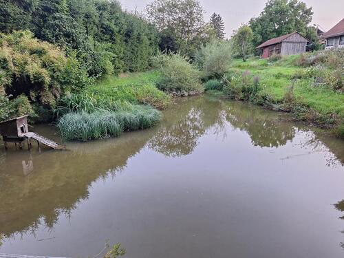Foto - Bauernhof in Idylischer Lage - 1.800,00 EUR Kaltmiete,