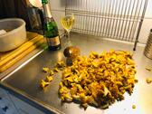 Foto - andere in Wulkenzin zur Miete