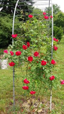 Foto - Grundst&uuml;ck in Würzburg zur Miete
