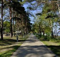 OSTERN AN DER OSTSEE, FERIENWOHNUNG MIT GARTEN FÜR HUNDEFREUNDE - Lubmin