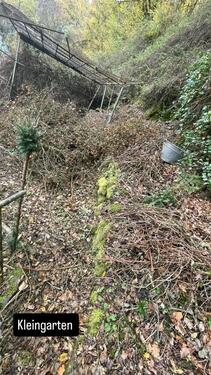 Foto - Einfamilienhaus in Gückingen