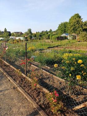 Foto - Grundst&uuml;ck zur Miete in Hildesheim
