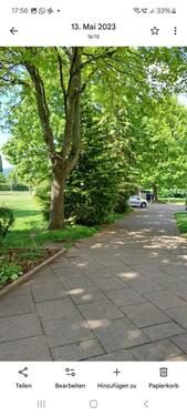 Foto - 4 Zimmer Etagenwohnung zur Miete in Rinteln