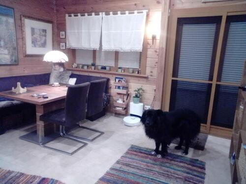 Foto - 1 Zimmer Bungalow zum Kaufen in Mülheim an der Ruhr