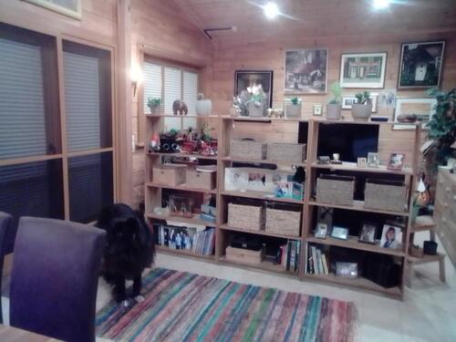 Foto - 1 Zimmer Bungalow in Mülheim an der Ruhr