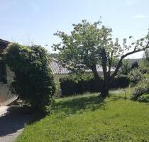 Einfamilienhaus am Wald mit großem Garten in Marktheidenfeld