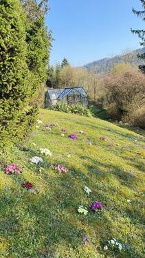 Foto - 8 Zimmer Einfamilienhaus in Murrhardt