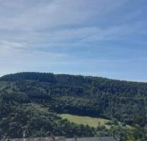 Wohnung Lorch am Rhein - 550,00&nbsp;EUR Kaltmiete, ca.&nbsp; 67,00&nbsp;m&sup2; in Lorch (PLZ: 65391)