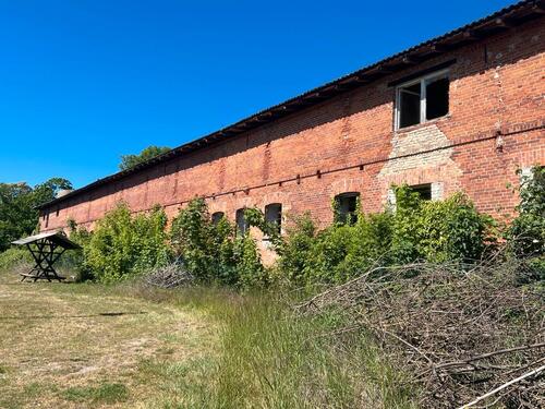 Foto - Einfamilienhaus in Prenzlau zum Kaufen