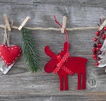 Erstes Weihnachten im neuen Zuhause - Bonn Dransdorf