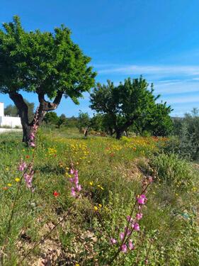 Foto - Einfamilienhaus in Euerdorf zum Kaufen