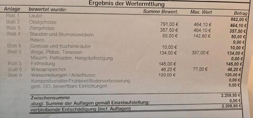 Foto - Schöner kleingarten zum pachten