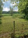 Foto - Garten FreizeitErholungsgrundstückEigentumsland