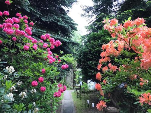 Foto - Einfamilienhaus mit 6 Zimmern in ruhiger, idyllischer Lage