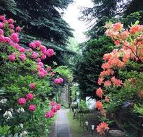 Einfamilienhaus mit 6 Zimmern in ruhiger, idyllischer Lage - Herrnhut