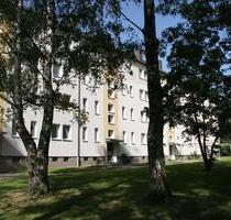 Ein heißes Angebot! Halbes Jahr- halbe Kalt(Miete) - Chemnitz Altendorf