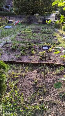 Foto - Pachtgarten abzugeben - 350,00&nbsp;EUR Kaltmiete, ca.&nbsp; 0,00&nbsp;m&sup2;