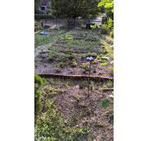 Pachtgarten abzugeben - 350,00&nbsp;EUR Kaltmiete, ca.&nbsp; 0,00&nbsp;m&sup2; in Meiningen (PLZ: 98617)