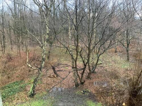 Foto - Etagenwohnung zur Miete in Gelsenkirchen