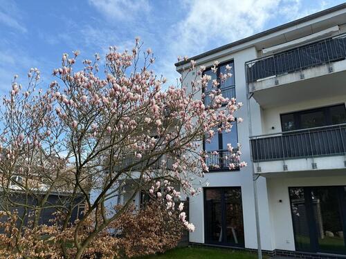 Foto - ERSTBEZUG! Stylische DG Wohnung mit schöner Loggia