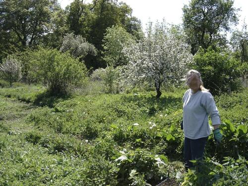 Foto - Doppelhaushälfte in Gnoien