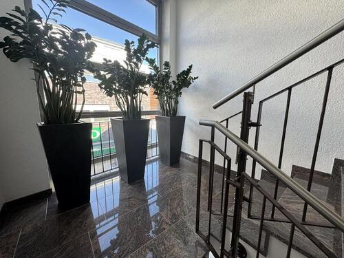 Foto - 4 Zimmer Etagenwohnung zur Miete in Cloppenburg