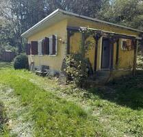 (Ferien-)Haus im Pipi-Langstrumpf-Stil auf großem Naturgrundstück - Rüdesheim am Rhein