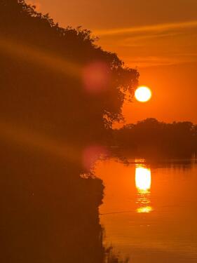 Foto - Etagenwohnung in Potsdam zur Miete