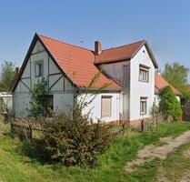 Doppelhaushälfte mit Grundstück 772 m², VERKAUF, MIETEN,MIETKAUF - Nienburg (Saale)