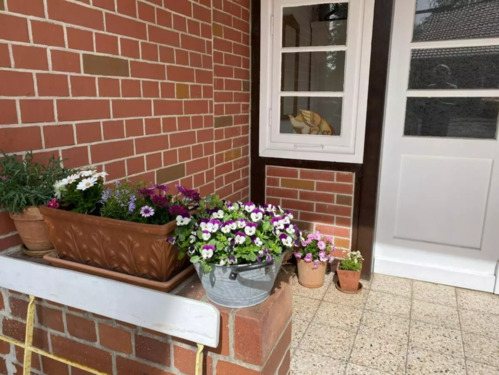 Foto - Monteurwohnung Arbeiterunterkunft Ferienwohnung