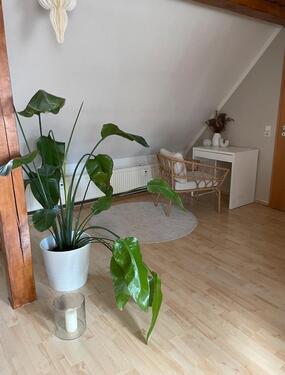 Foto - Dachgeschoßwohnung in Blankenburg (Harz) zur Miete