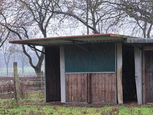 Foto - Weidefläche zu vergeben, eingezäunt, Unterstand