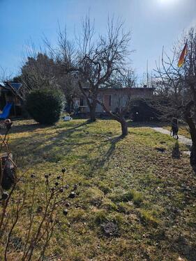 Foto - Grundst&uuml;ck zur Miete in Gräfenhainichen