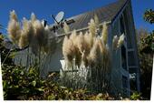 Foto - 6 Zimmer Einfamilienhaus in Pulheim