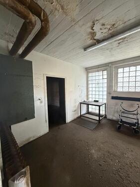 Foto - andere in Gelsenkirchen zur Miete